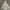 Ne-net Y2K Luxury Sweater Wanita Gray