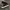 VANS Casual Sneakers Pria black photo 1