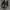 VANS Casual Sneakers Pria black photo 2
