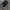 VANS Casual Sneakers Pria black photo 4