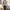 Streetwear Reworked Sweatshirt Pria multicolor tan photo 1
