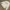 Issey Miyake Luxury Minimalist Formal shirt Pria white photo 2