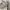 Issey Miyake Luxury Minimalist Formal shirt Pria white photo 8