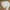 Issey Miyake Luxury Minimalist Formal shirt Pria white photo 5
