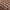 VANS Streetwear Skater Sneakers Pria brown photo 2