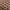 VANS Streetwear Skater Sneakers Pria Brown
