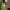 Disney Coquette Casual Kids green photo 2