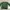 Disney Coquette Casual Kids green photo 1