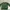 Disney Coquette Casual Kids Green
