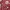 Disney Coquette Casual Baju muslim Kids red photo 2