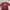 Disney Coquette Casual Baju Muslim Kids Red