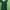 Fairy Casual Casual dress Wanita white green photo 1
