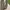 Eiger Luxury Casual Casual shoe Pria tan khaki photo 6