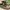 Eiger Luxury Casual Casual shoe Pria tan khaki photo 1