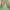 Casual Kids brown gray photo 3