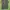 Casual Kids brown gray photo 1