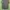 Casual Kids brown gray photo 2