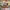 032c Cosplay Coquette Wallet Pria tan cream photo 1