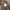 PPFM Vintage Streetwear Harrington jacket Pria tan brown photo 8