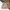 PPFM Vintage Streetwear Harrington jacket Pria tan brown photo 1