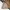 PPFM Vintage Streetwear Harrington Jacket Pria Tan Brown