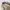 PPFM Vintage Streetwear Harrington jacket Pria tan brown photo 2
