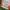 Streetwear Sportswear Windbreaker Pria multicolor photo 4