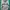 The North Face Sportswear Windbreaker Pria white gray photo 1
