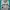The North Face Sportswear Windbreaker Pria White Gray