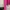 Polo Ralph Lauren Casual T-shirt Wanita pink photo 3