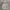 Nike Minimalist Track Jacket Pria Gray