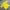 Casual T-shirt Pria yellow photo 4