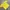 Casual T-shirt Pria Yellow
