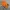 Casual T-shirt Pria orange photo 1