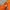Casual T-shirt Pria orange photo 4