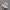 Puma Casual Sneakers Wanita tan photo 3