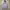 Carhartt Streetwear Hoody Pria gray photo 2