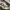 Carhartt Streetwear Hoody Pria gray photo 6