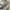 Carhartt Streetwear Hoody Pria gray photo 4