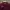 Dickies Streetwear Casual Casual shirt Pria burgundy photo 2