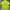 Millet Casual T-shirt Kids green photo 2