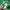 Le Coq Sportif Casual Hoody Kids green photo 3