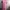 Casual Shirt dress Wanita pink black photo 6
