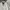 Casual Harrington jacket Pria white photo 2