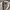 Casual Harrington jacket Pria white photo 4
