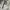 Casual Harrington jacket Pria white photo 6