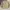 Casual Harrington jacket Pria tan cream photo 6