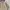 Casual Harrington jacket Pria tan cream photo 2