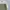 Casual Harrington jacket Pria white green photo 2