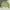 Vintage Streetwear Denim jacket Wanita green photo 1